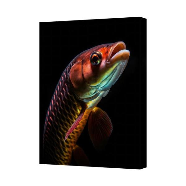 Benjamin Tate Design Colorful Fish Canvas Wall Art On Black Background Gallery
