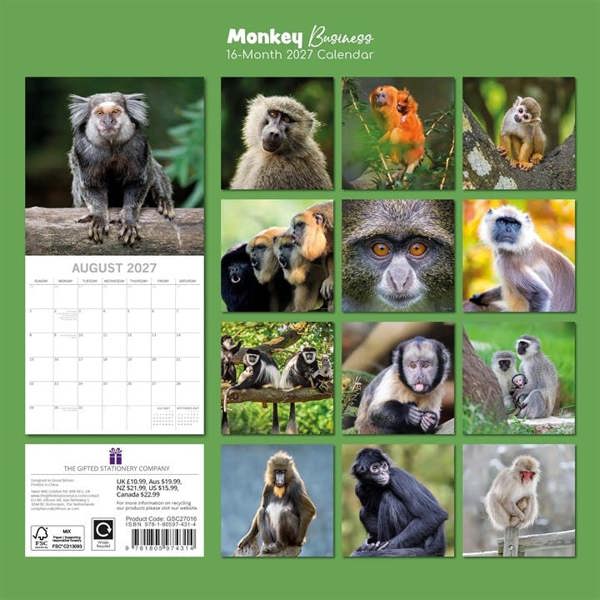 Monkey Business Calendar 2027, Wall Calendars, Month To View, Animals, Gift
