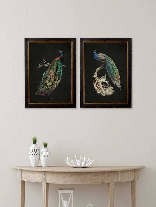 Exceptional Art c.1847 Peacocks - Dark