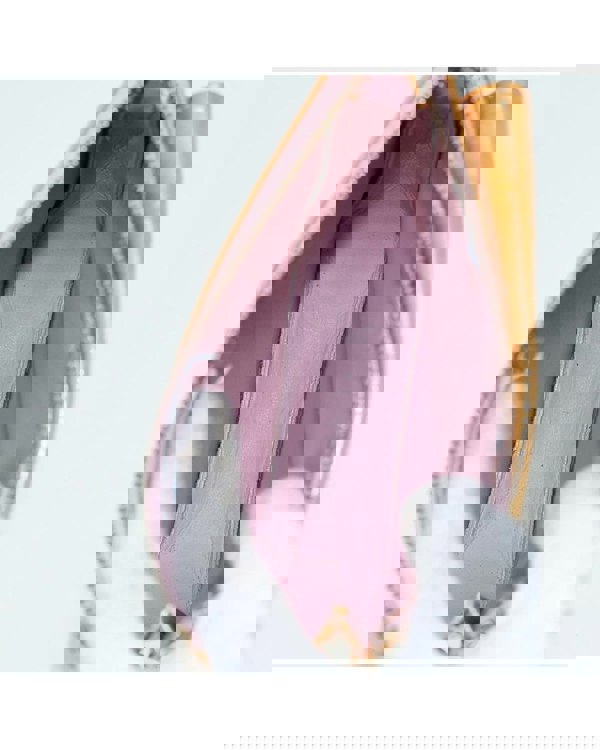 186339007.jpg