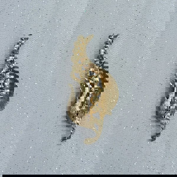 Pearl pea brooch, gold tone setting, pod design with row of white faux pearls, nature inspired jewellery, vintage style accessory, elegant statement brooch, unique gift for her
