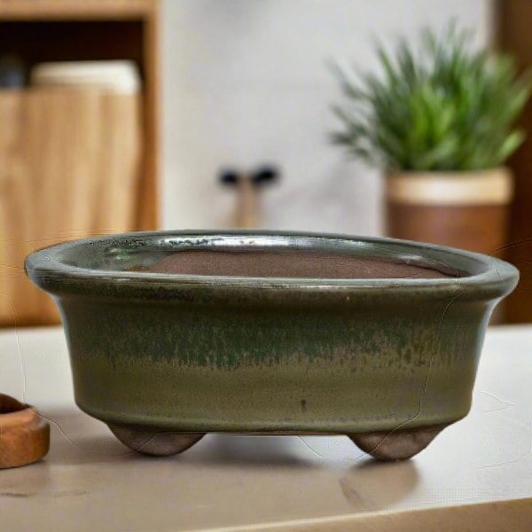 Yorkshire Bonsai 12cm Glazed Bonsai Pot | Oval | 12cm x 10cm x 5cm | Green