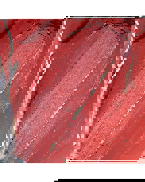 193982956.jpg