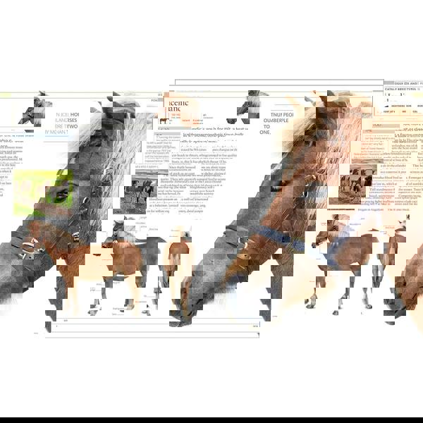 The Horse Encyclopedia (DK Pet Encyclopedias) by Elwyn Hartley Edwards