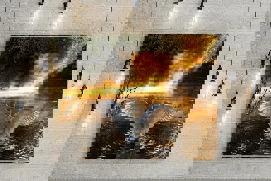 rising swan canvas art print