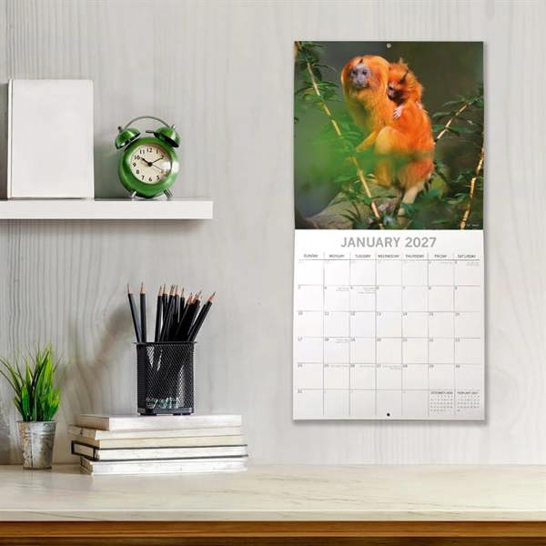 Monkey Business Calendar 2027, Wall Calendars, Month To View, Animals, Gift