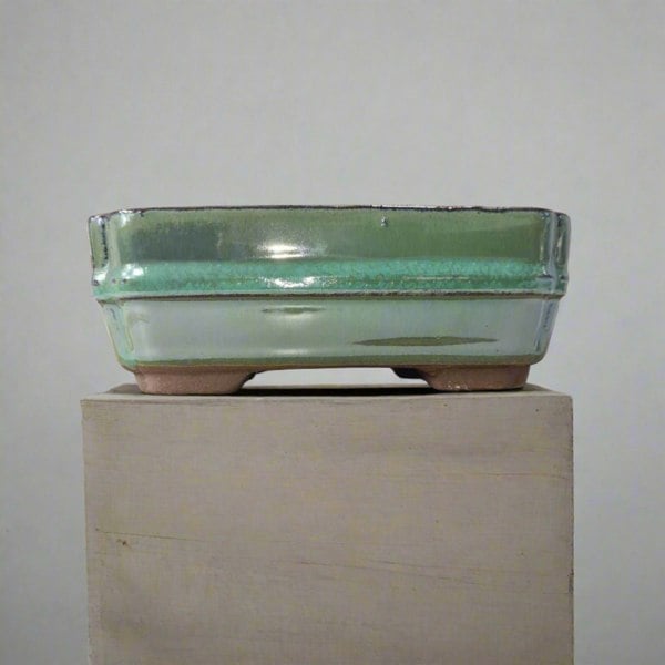 16cm Glazed Bonsai Pot | Rectangle | 16cm x 13cm x 4cm | Green - Yorkshire Bonsai