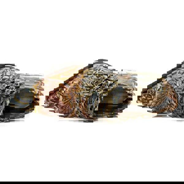 New Rock M-7960-s14 Embossed Vintage Shoes Black Leather Buckle Steel Heel