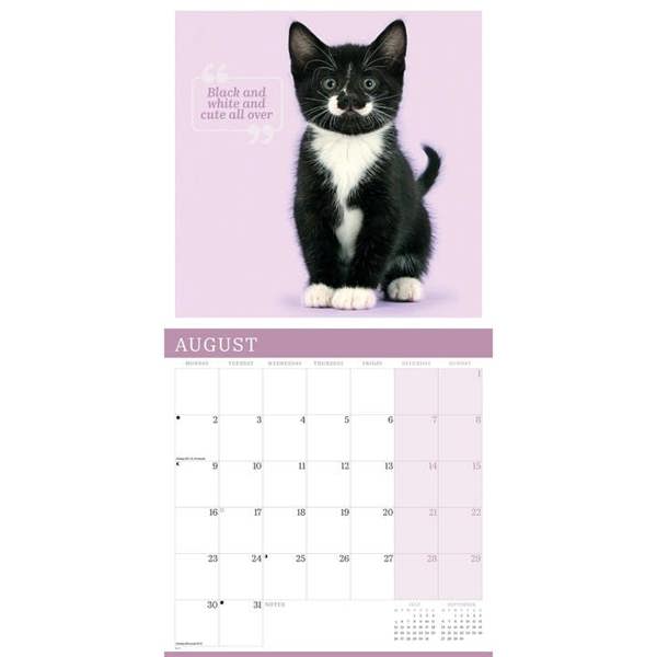 Cute Cats Calendar 2027, Wall Calendars, Month To View, Cats, Gift