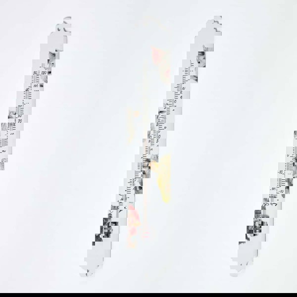 HOMESCAPES Outdoor Thermometer with Farmyard Animal Design