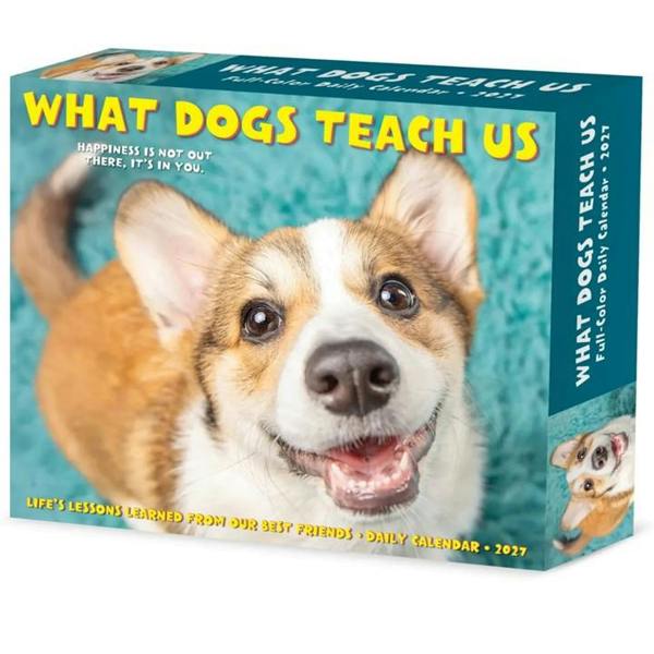 What Dogs Teach Us Desk Calendar 2027, Desk Calendars, Day To View, Dogs, Gift