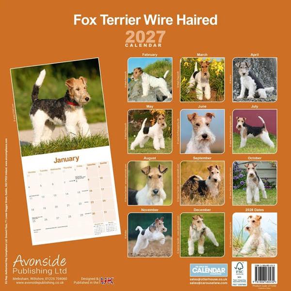 Wire Haired Fox Terrier Calendar 2027, Wall Calendars, Month To View, Dogs, Gift