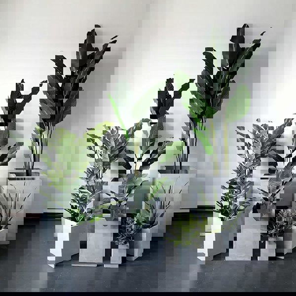 MI50 Plant Stands, More Size Available-Weilai Concept-Weilai Concept