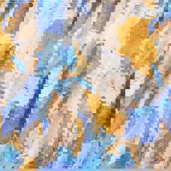 Blue | Printed 1/2 Sleeve Belted Midi Dress