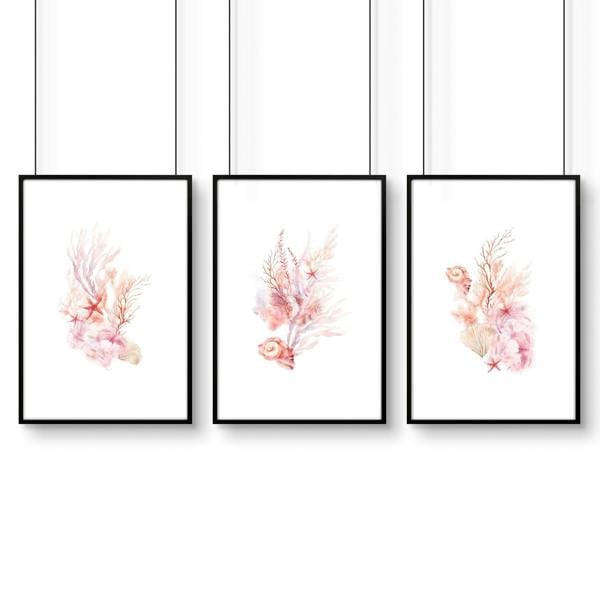 Framed Pictures For The Bathroom | Set of 3 Seashells Wall art Prints