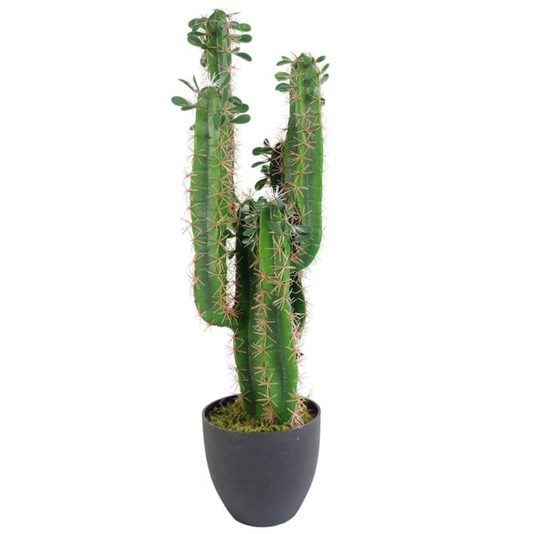 Leaf 75cm Premium Artificial Cactus with pot