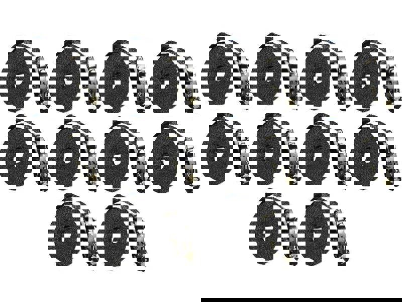 Tie Down Endless Ratchet Straps x10 (1.5T 25MM 8M Cargo Lashing)