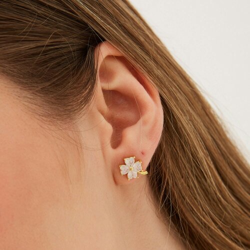 Spero London Best of Luck Four Leaves Clover Sterling Silver Bracelet Necklace and Stud Earring Set - White