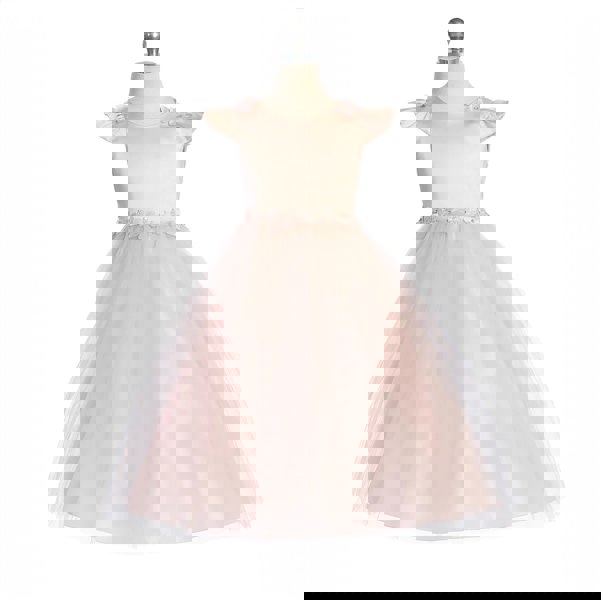 PRETTY BLUSH PARTY DRESS