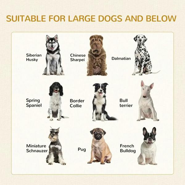 Dog breed suitability chart illustration with large dog silhouettes