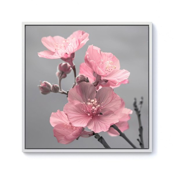 Warren Reed Delicate Pink Flowers Framed Canvas