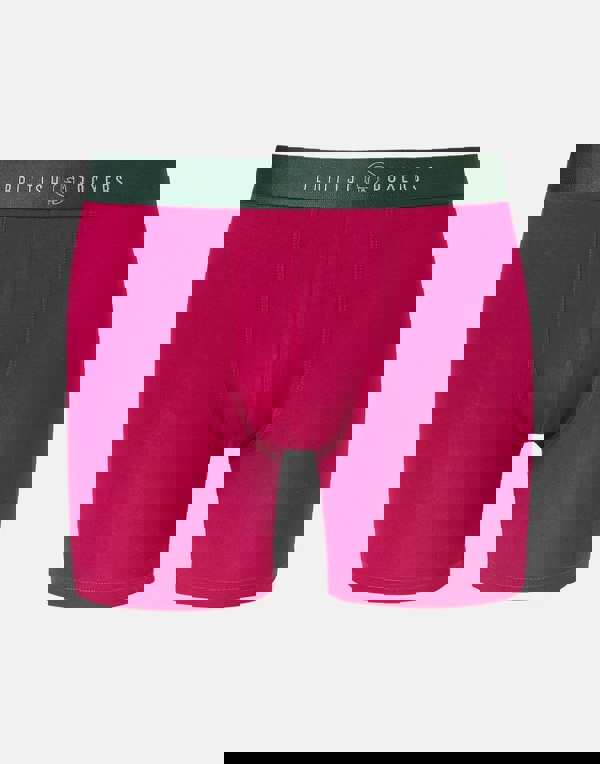 British Boxers Multipack! 4 Pairs of Men's Bamboo Stretch Trunks – Forest Berry