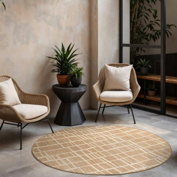 Two wicker chairs with white cushions and a round checkered rug in a room with plants and shelves.
