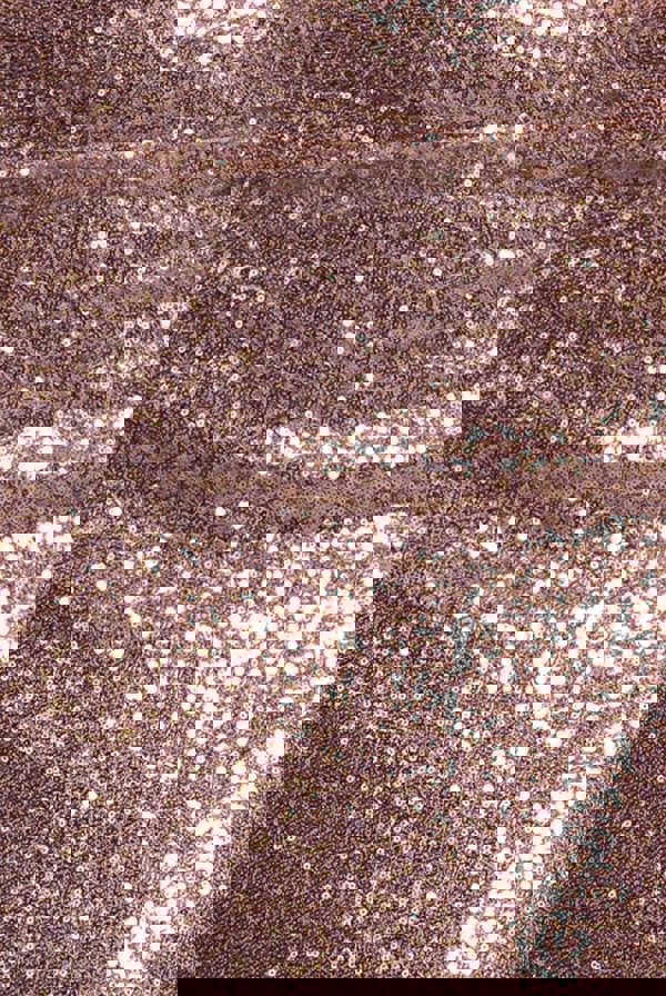 Off The Shoulder Sequin Wing Maxi Dress - Champagne DR3616