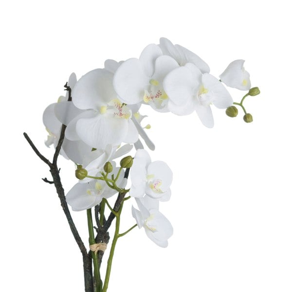 Hill Interiors Orchid In Stone Pot - White