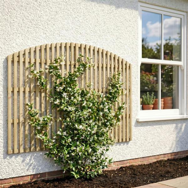 4 pack trellis premier florence [w.6ft x h.1ft] 1