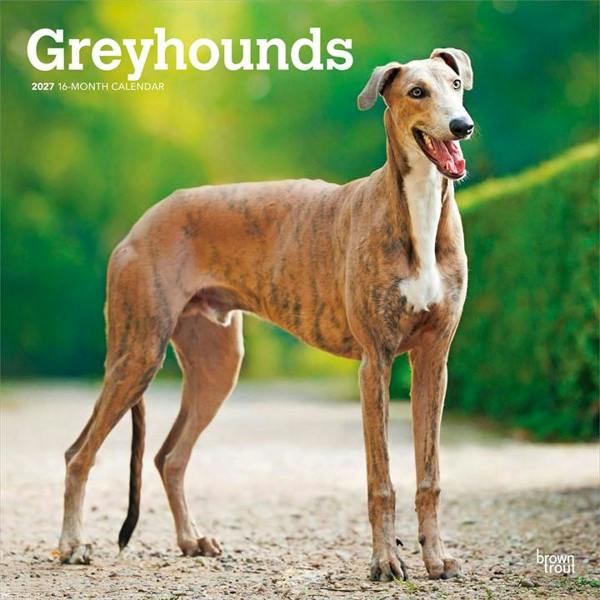 Greyhounds Calendar 2027, Wall Calendars, Month To View, Dogs, Gift