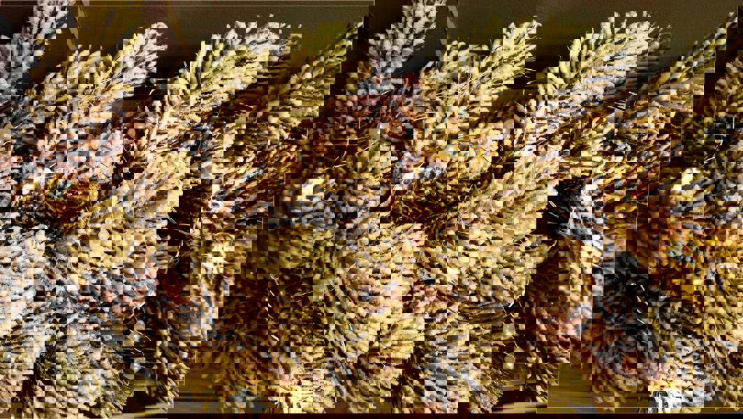 Luxform Solar 50 Led Microlight Pearl Romantic Pink