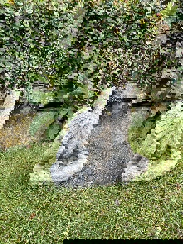 Stone Cast Dozing Dragon Small Outdoor Ornament