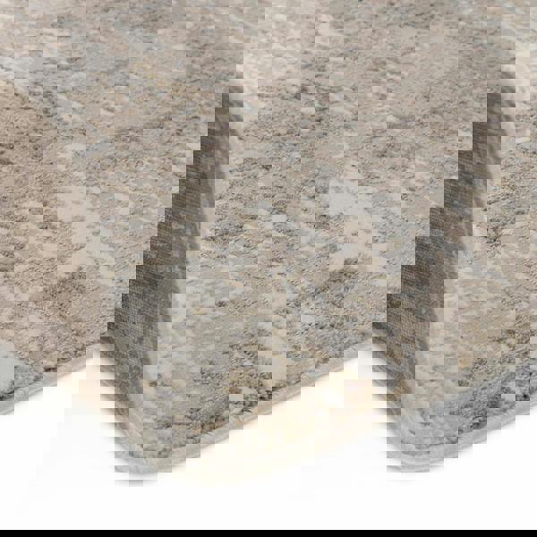 Asiatic Stellar ST11 Distressed Beige Rug