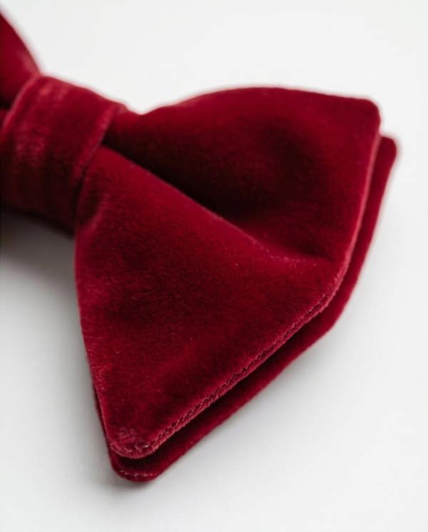 Pamoni Rich Burgundy Velvet Bow Tie