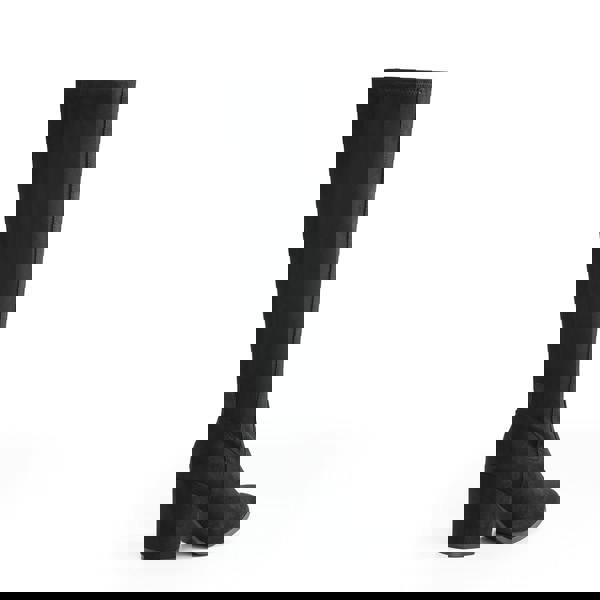 VIVA Quinn: Womens Knee High Heeled Long Boots