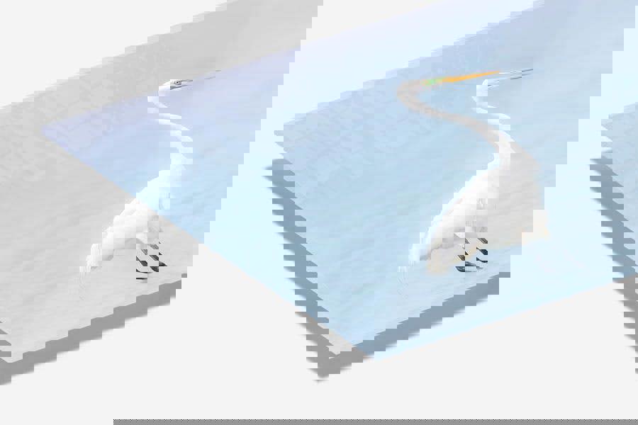 wildlife picture printed on glass acrylic