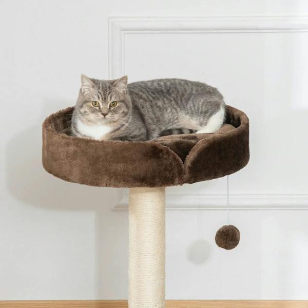 Brown cat tree with cushioned round bed and hanging ball toy attached to the post