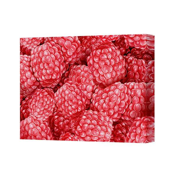 Benjamin Tate Design Red Raspberry Canvas Wall Art Print Premium Canvas 4885