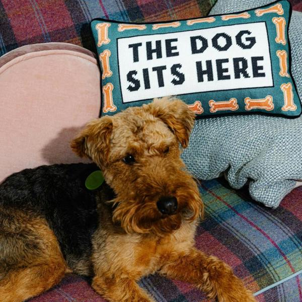 A teal rectangular needlepoint cushion with a bone pattern border reading "THE DOG SITS HERE" propped on a plaid sofa behind a fluffy brown and black Welsh Terrier dog.