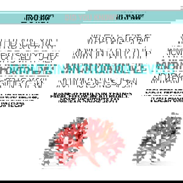 Goldwell Dualsenses Scalp Specialist Rebalance & Hydrate Fluid