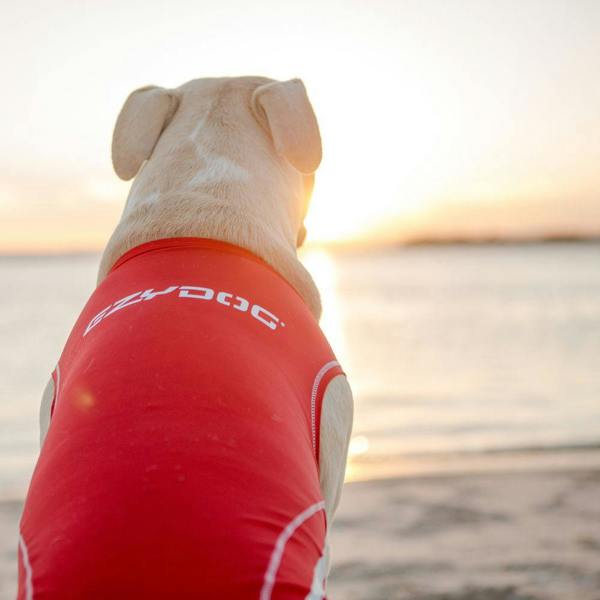 EzyDog UPF 50+ Dog Rash Vest in Red