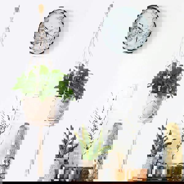 deAO Toys 3 Pack Hanging Basket Indoor Outdoor Hanging Plant basket with 3 Hooks