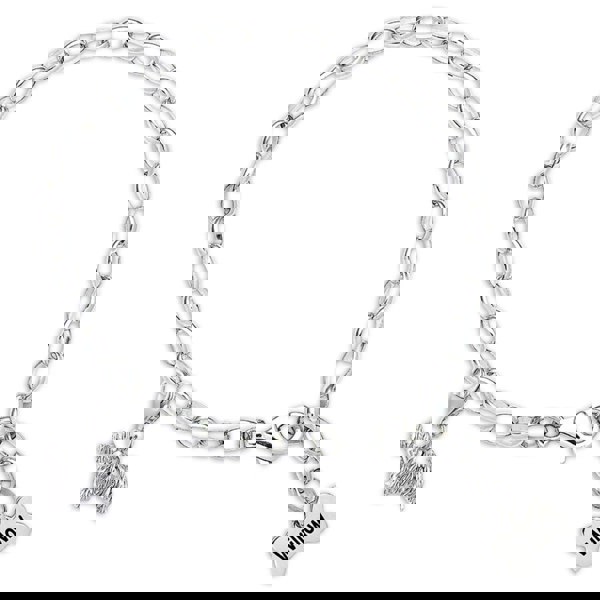 Westie Silver Charm - MYLEE London