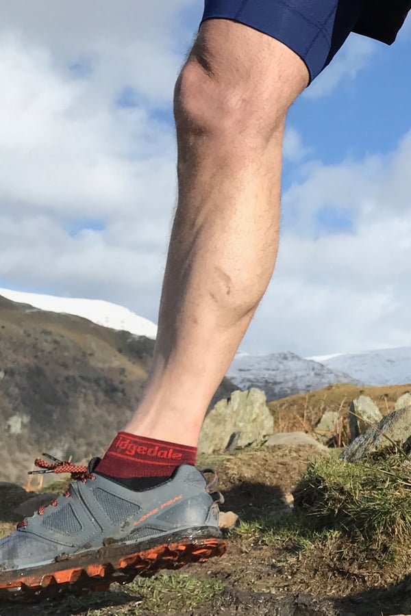 Bridgedale Socks Bridgedale Women's Ultra-Lightweight T2 Merino Low Run Socks {BR-710204}