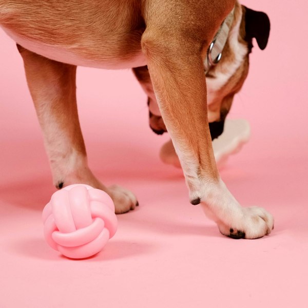 Barc London Knotball Squeaky Dog Toy