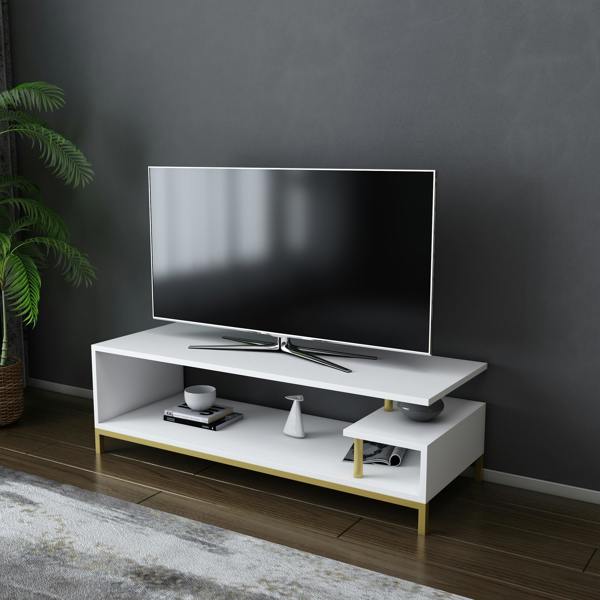 Decorotika Reilly Modern Tv Stand TV Cabinet for TV's up to 55"