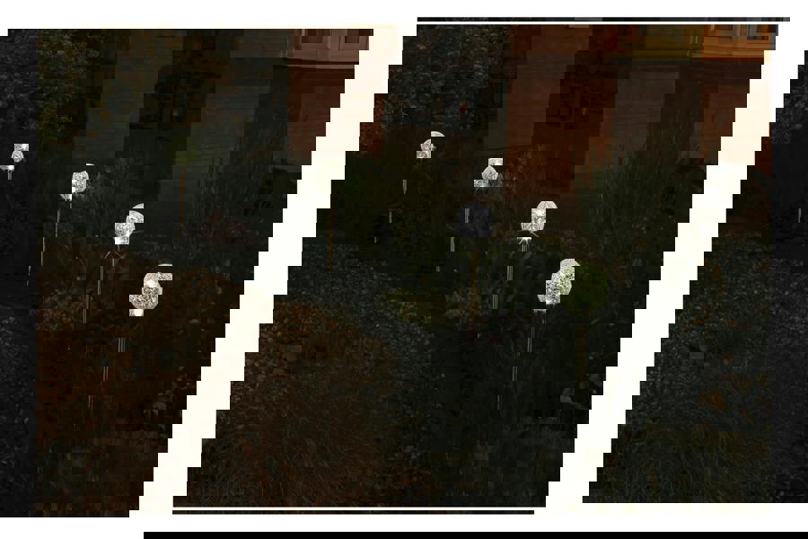 Luxform Solar Palma Garden Spike Stainless Steel 12Pk