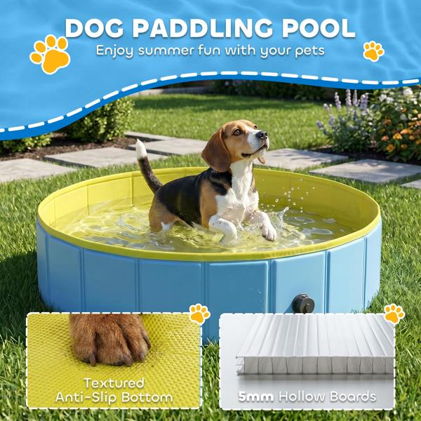 Pet Swimming Pool