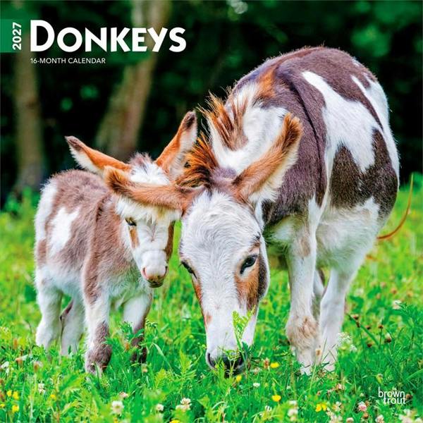 Donkeys Calendar 2027, Wall Calendars, Month To View, Animals, Gift